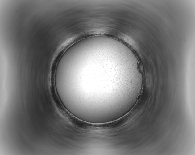 X0000086930486200704301120