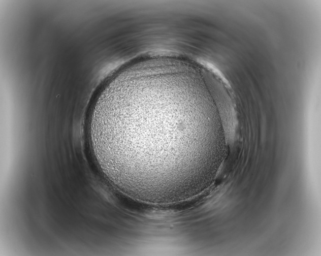 X0000086930487200704301120