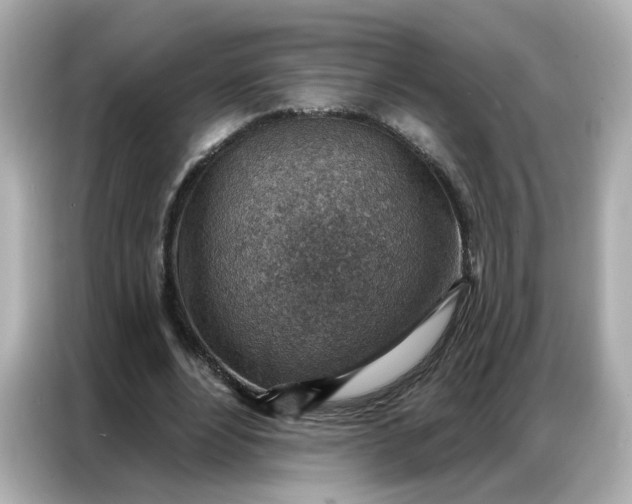 X0000086930488200704301120