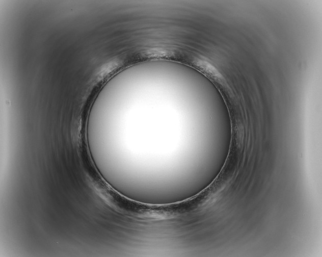 X0000086930490200704301120