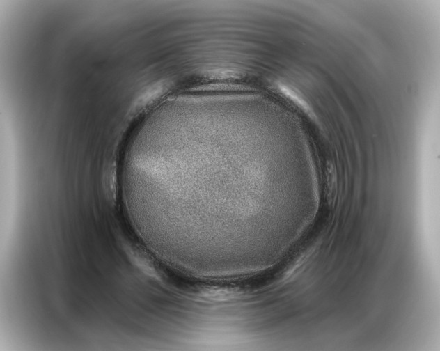 X0000086930494200704301120