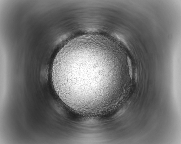 X0000086930495200704301120