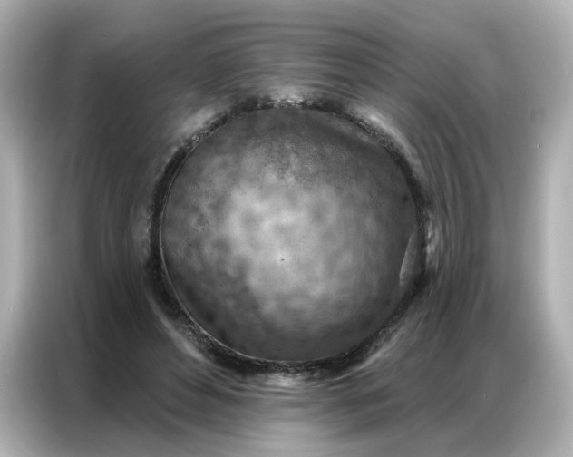 X0000086930496200704301120