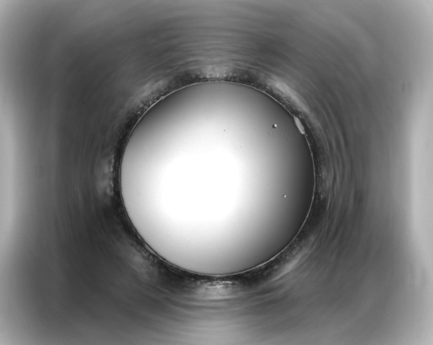 X0000086930497200704301120