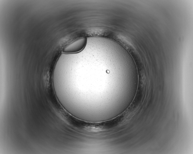 X0000086930498200704301120