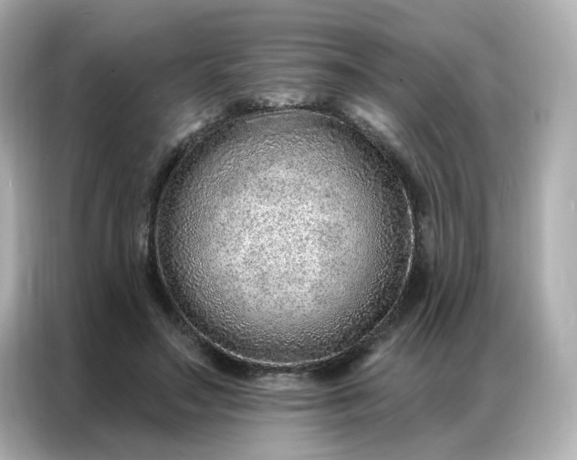 X0000086930499200704301120