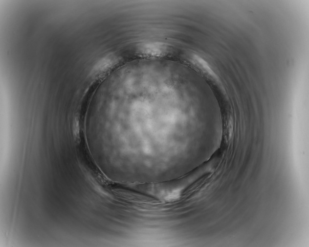 X0000086930500200704301120