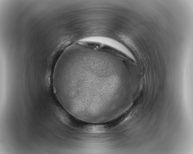 X0000086930501200704301120