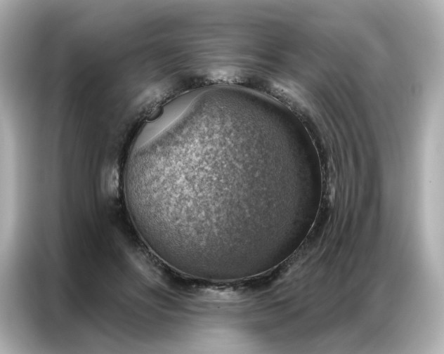 X0000086930502200704301120