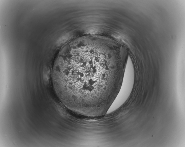 X0000086930503200704301120