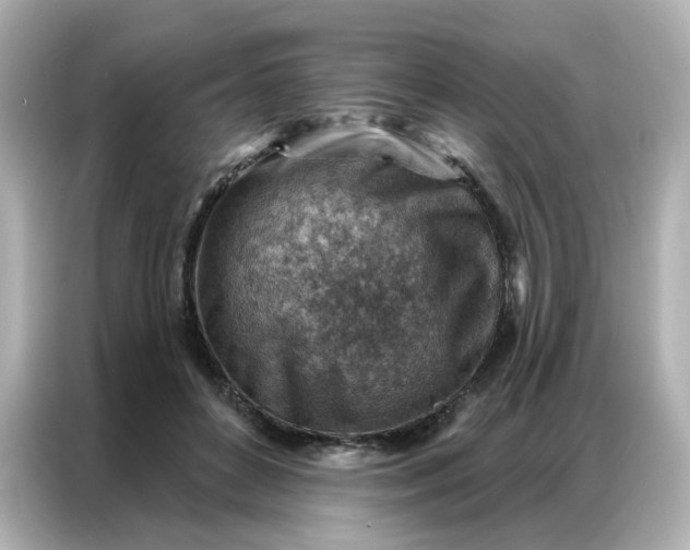 X0000086930504200704301120