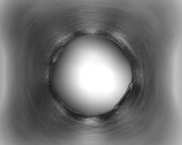 X0000086930505200704301120