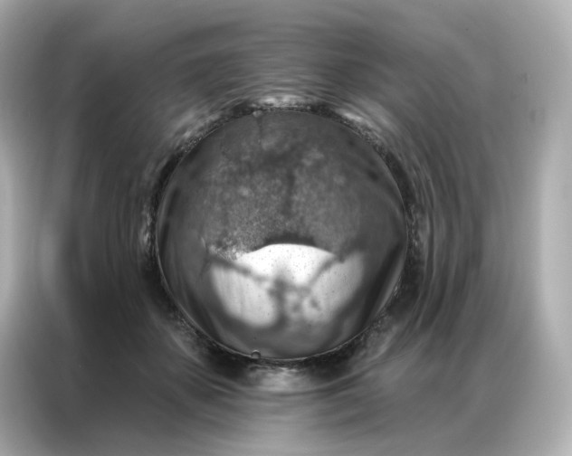 X0000086930507200704301120