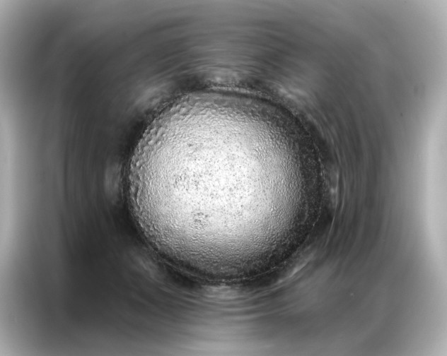 X0000086930511200704301120