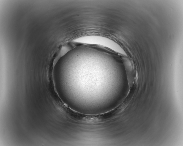 X0000086930512200704301120