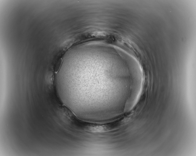 X0000086930513200704301120