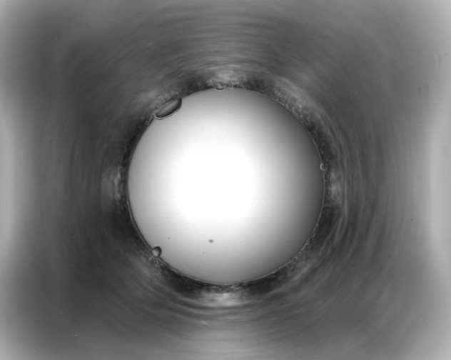 X0000086930514200704301120