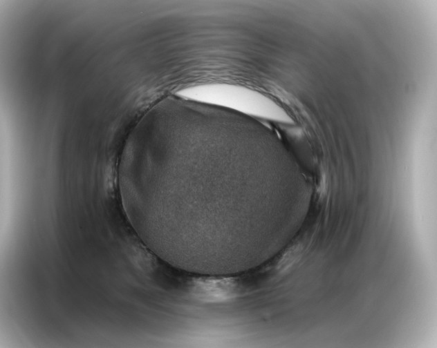 X0000086930517200704301120