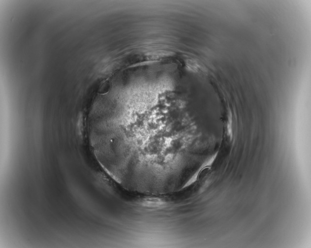 X0000086930519200704301120