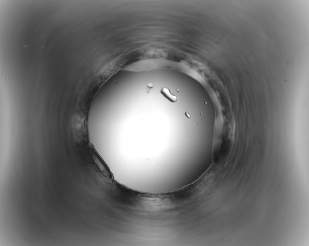 X0000086930521200704301119