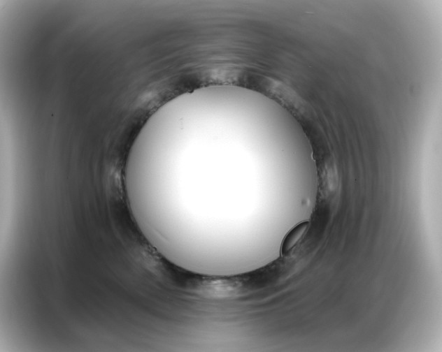 X0000086930522200704301119