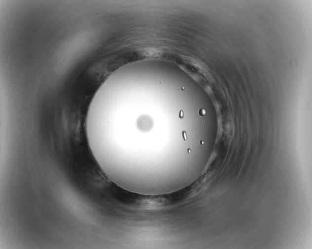 X0000086930525200704301119