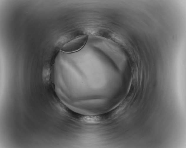 X0000086930526200704301119