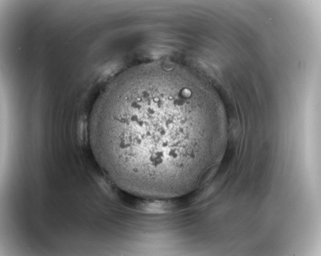 X0000086930527200704301119