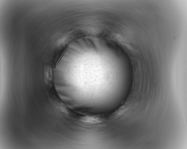 X0000086930528200704301119