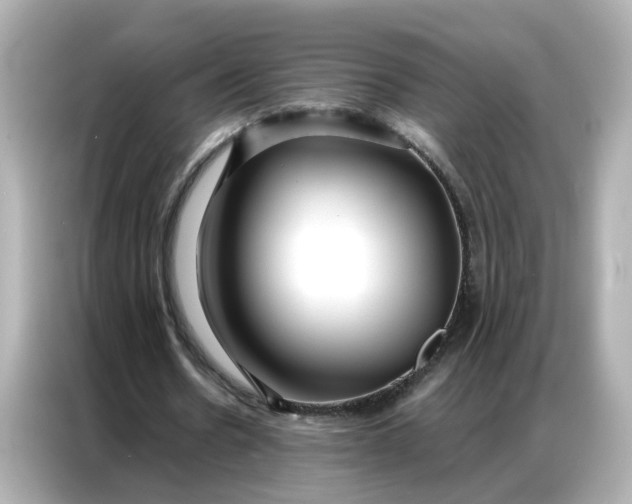 X0000086930530200704301119