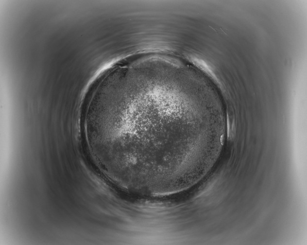 X0000086930531200704301119