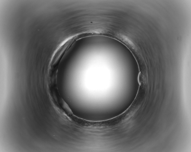 X0000086930532200704301119