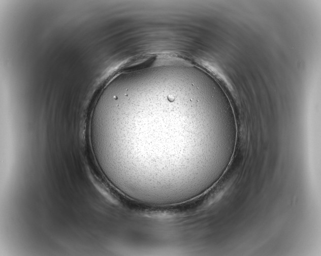 X0000086930533200704301119