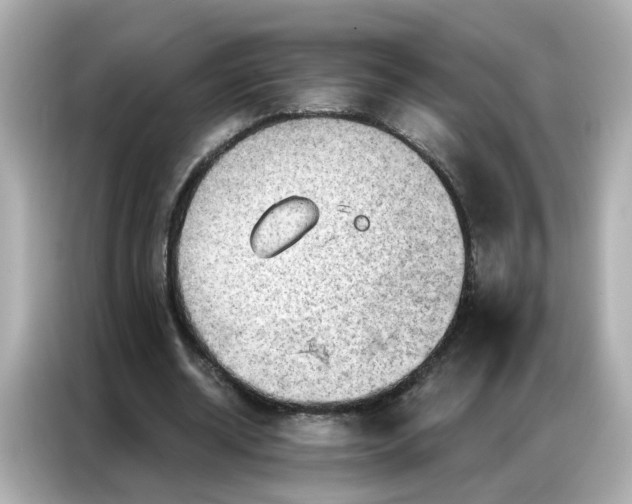 X0000086930534200704301119