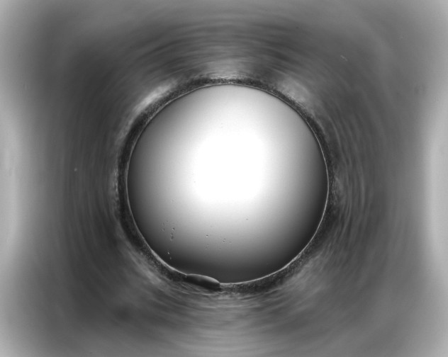 X0000086930535200704301119