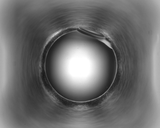 X0000086930536200704301119