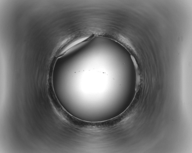 X0000086930538200704301119