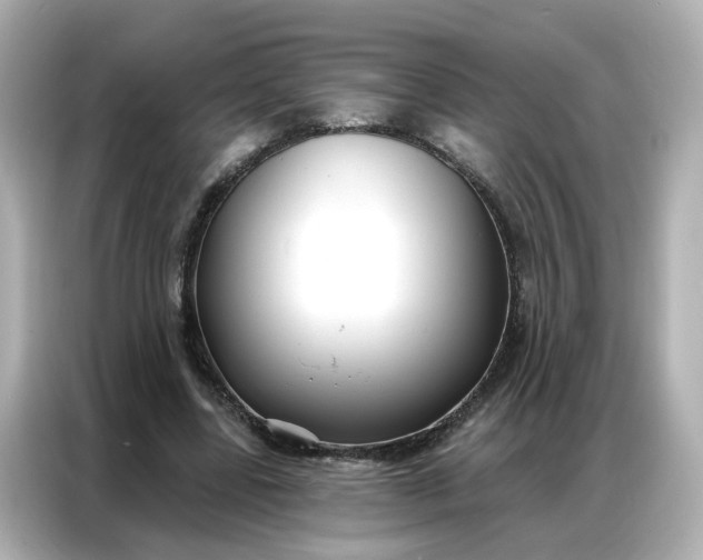 X0000086930539200704301119