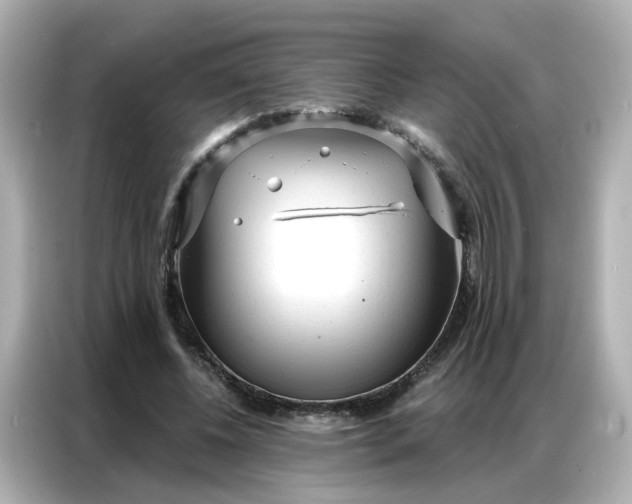 X0000086930540200704301119