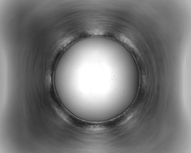 X0000086930541200704301119