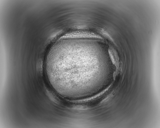 X0000086930542200704301119