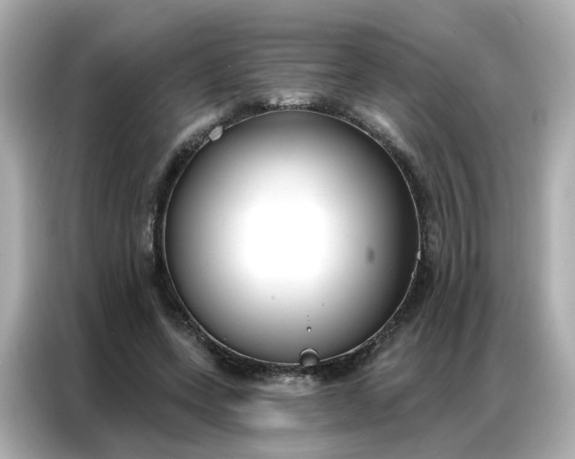 X0000086930543200704301119