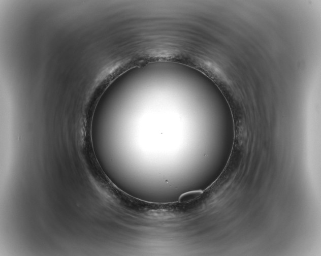 X0000086930544200704301119