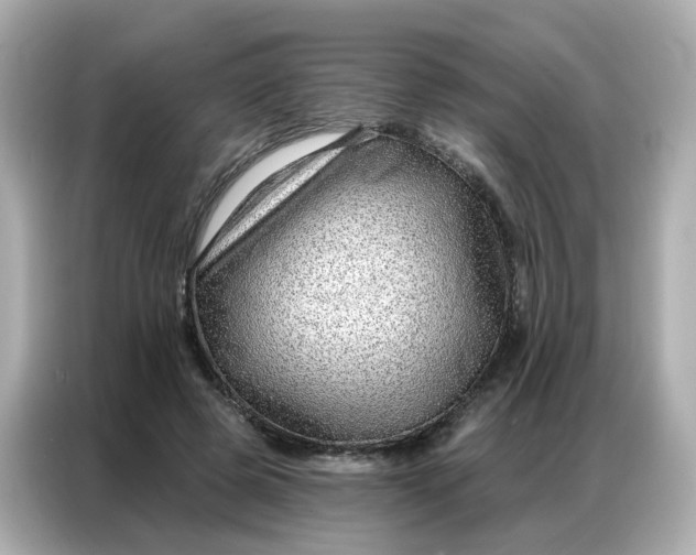 X0000086930545200704301119