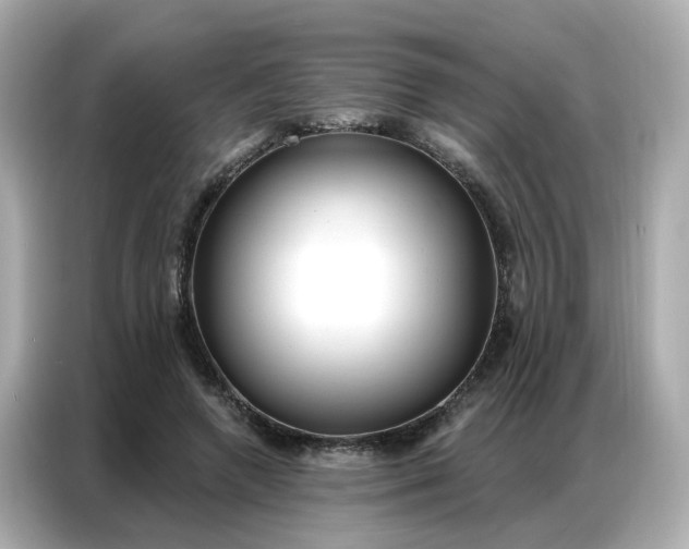 X0000086930546200704301119