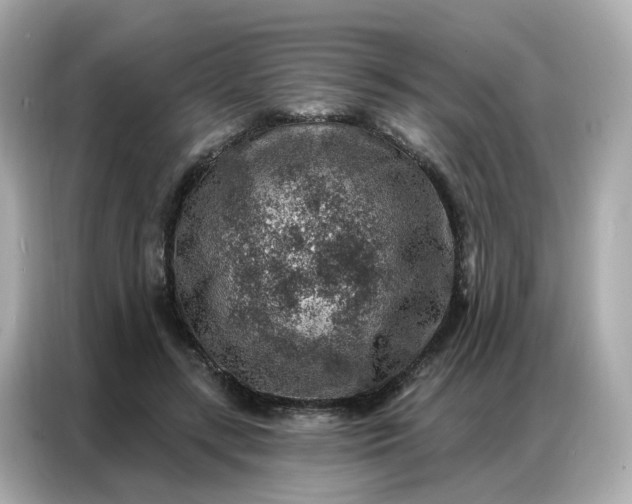 X0000086930547200704301119