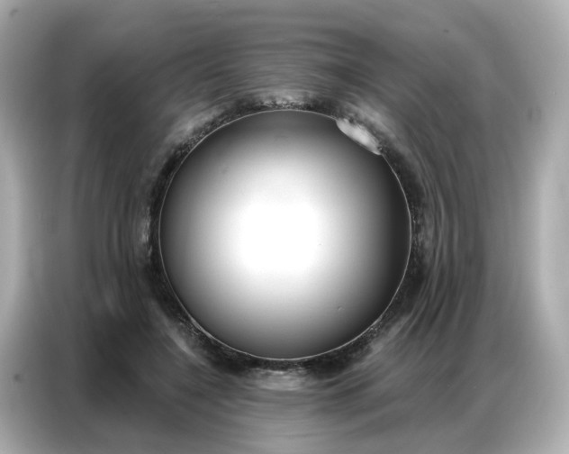 X0000086930548200704301119