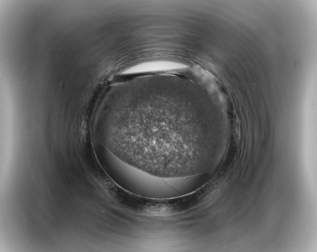 X0000086930551200704301119