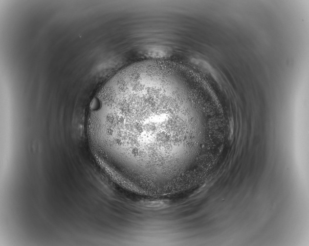 X0000086930553200704301119