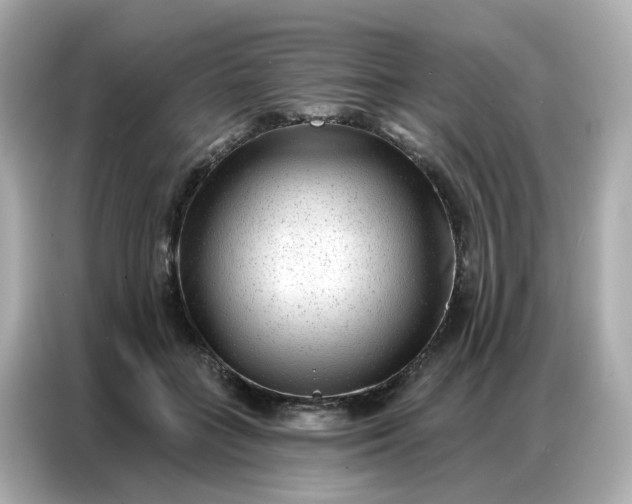 X0000086930555200704301119